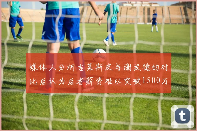 媒体人分析吉莱斯皮与谢泼德的对比后认为后者薪资难以突破1500万