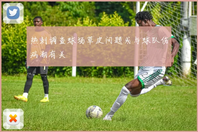 热刺调查球场草皮问题或与球队伤病潮有关