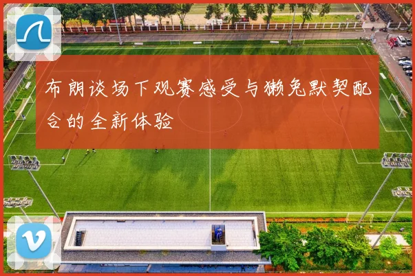 布朗谈场下观赛感受与獭兔默契配合的全新体验